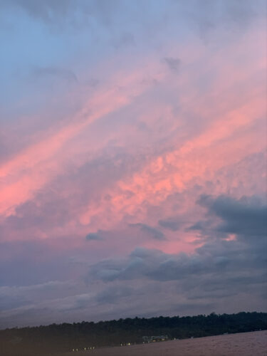 夕焼けに染まる鮮やかなピンクと紫の雲が広がる空。地平線には深い緑の木々のシルエットと、静かな水面が映し出されている風景。